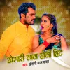 About Kheshari Lal Holi Hit Song